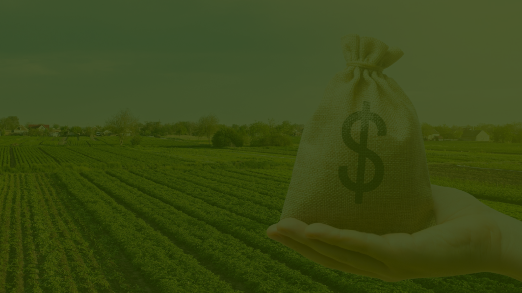 mba tributação agronegócio