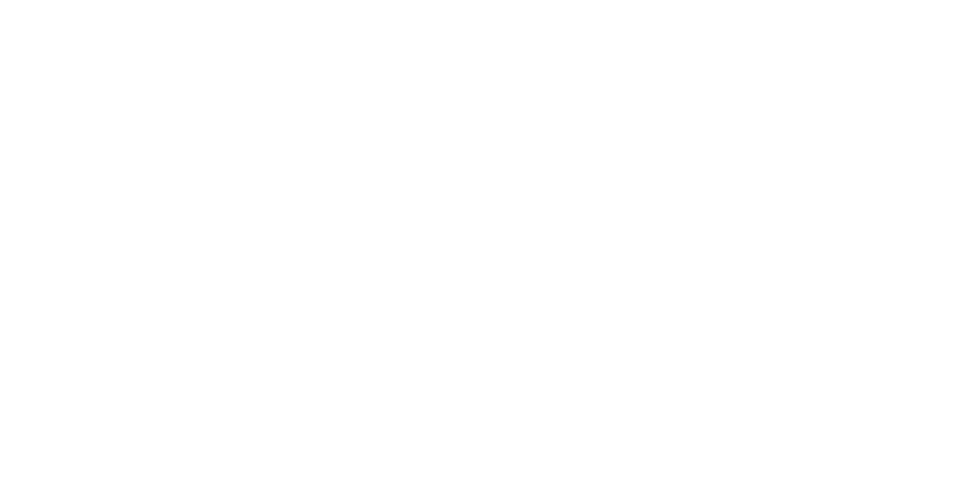 BSSP Consulting