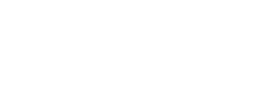 BSSP+
